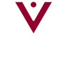 VOISS Advisor